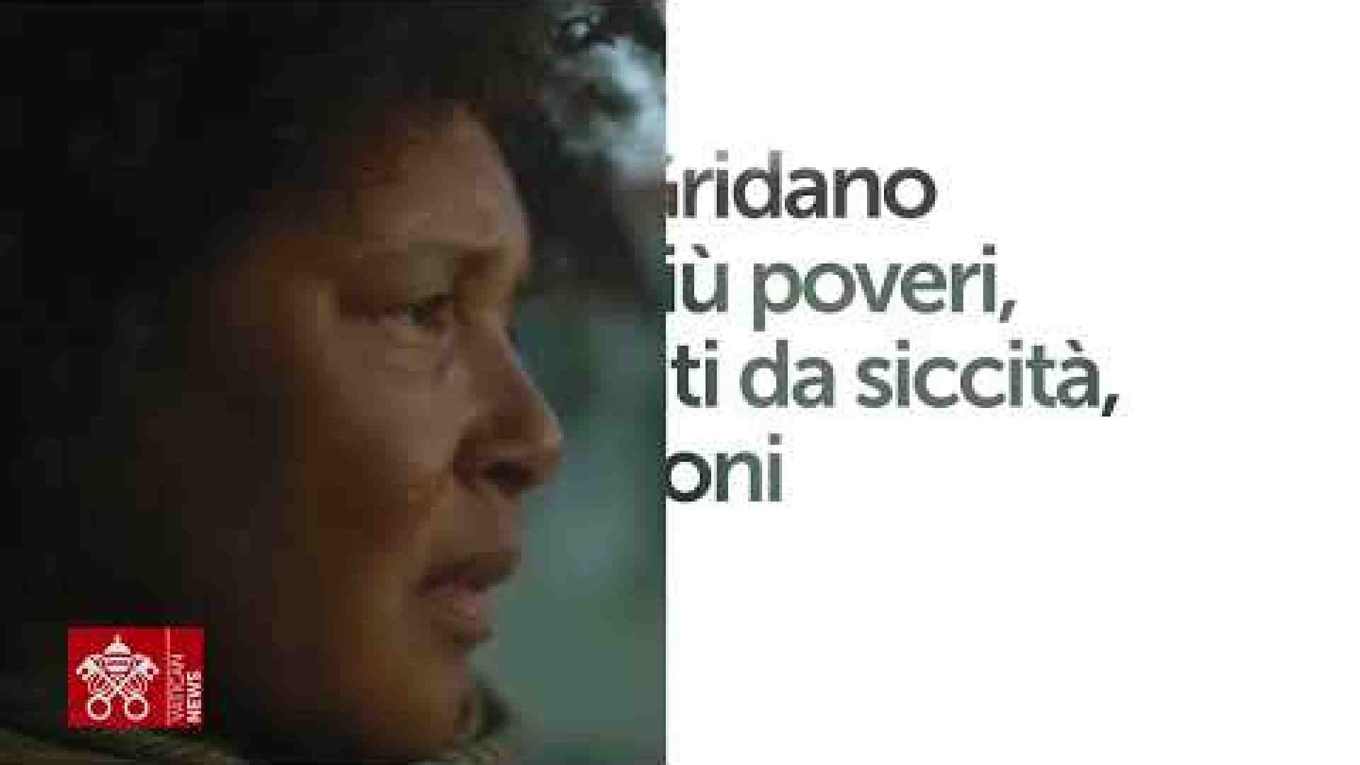 Immagine di Messaggio del Papa: rispondiamo coi fatti al “grido amaro” della Terra