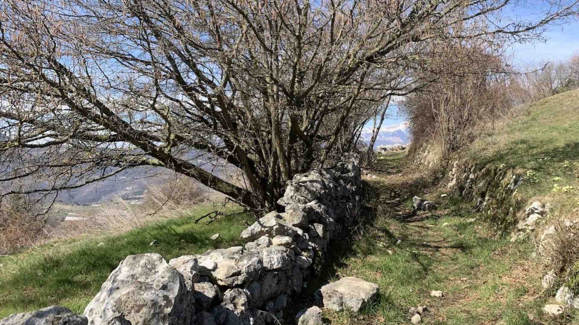 Immagine di Attorno a Cerna, cerniera tra Valpolicella e Lessinia