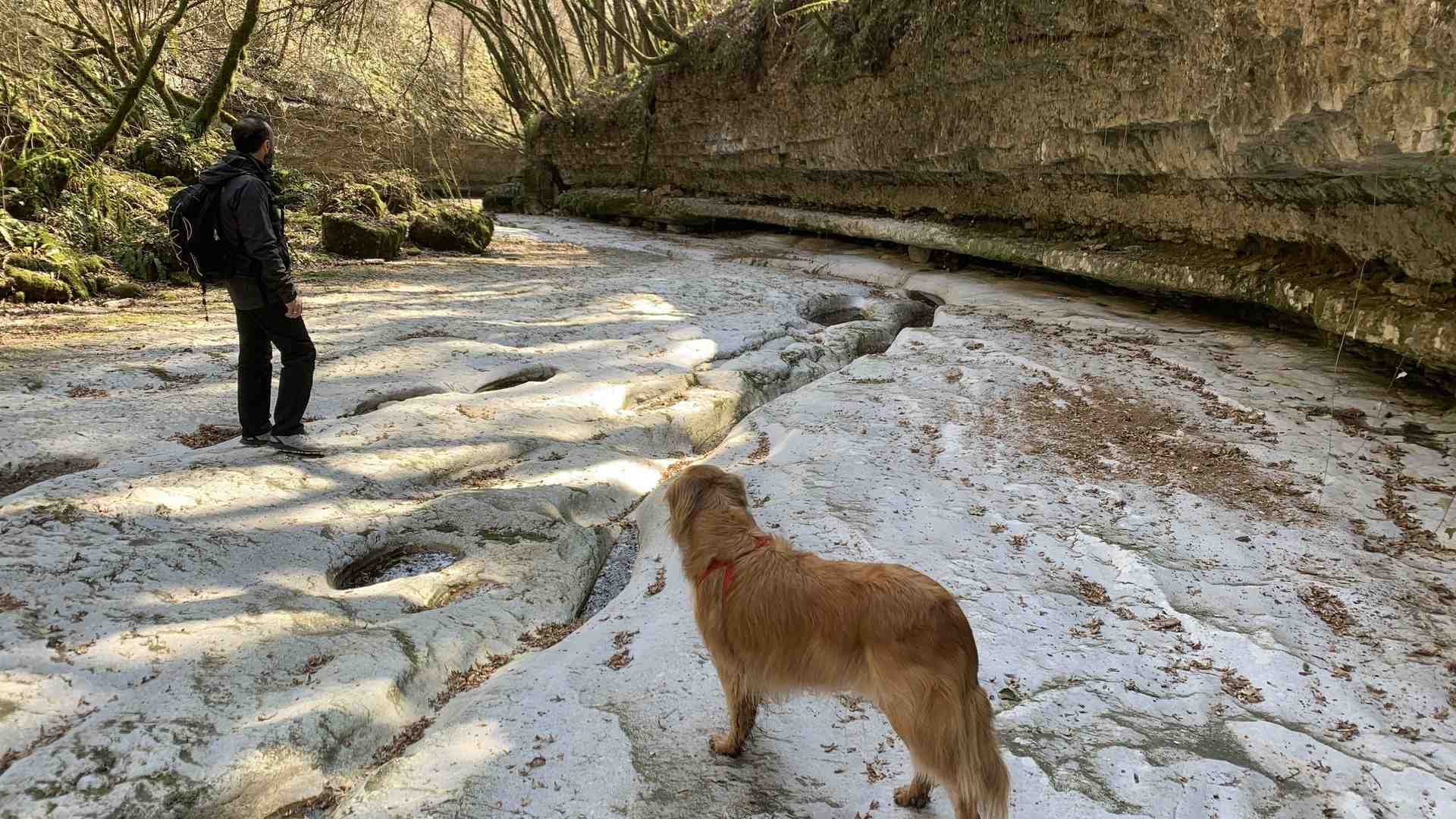 Immagine di Sopra e sotto il ponte di Veja l’uomo vive e cammina da millenni