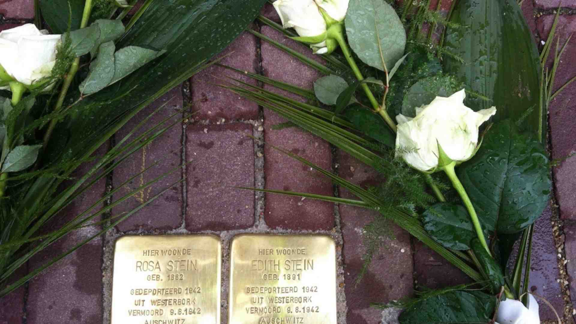 Immagine di Czerny ad Auschwitz per Edith Stein: «Una vita trasfigurata dall’amore»