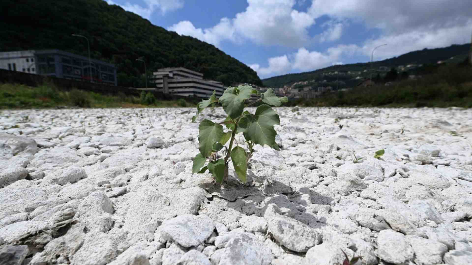 Immagine di L'estate durerà fino a sei mesi. Milano sarà calda come il Texas
