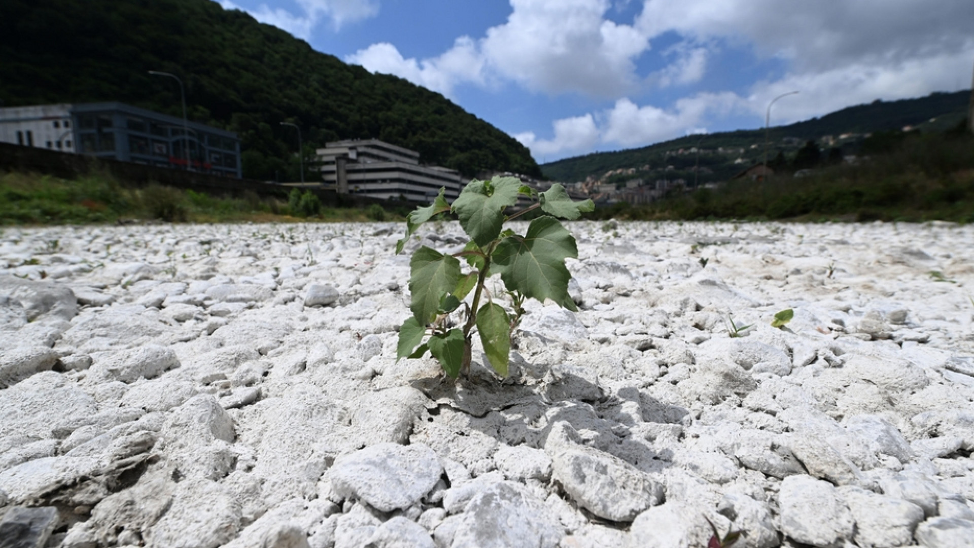 Immagine di L'estate durerà fino a sei mesi. Milano sarà calda come il Texas