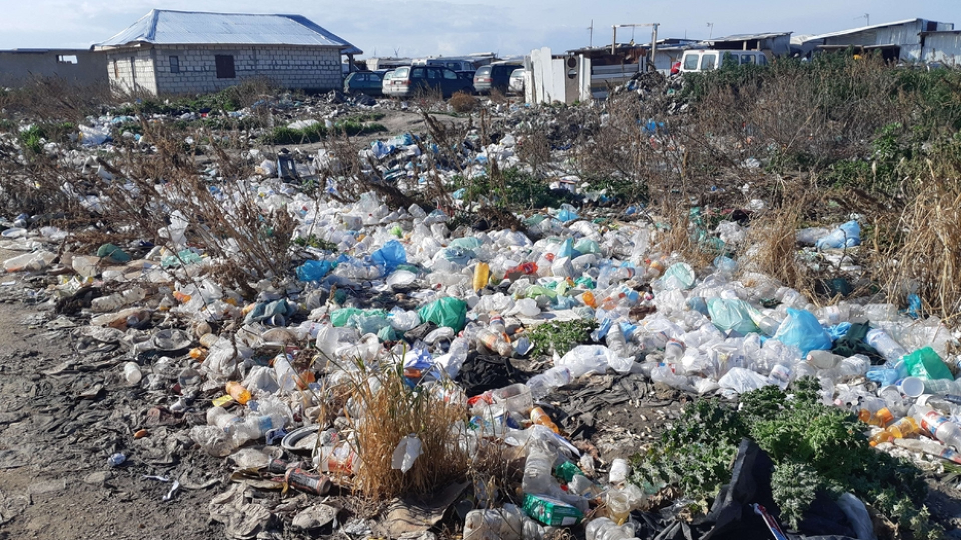 Immagine di Nel ghetto foggiano, discarica di lavoratori, vincono degrado e illegalità