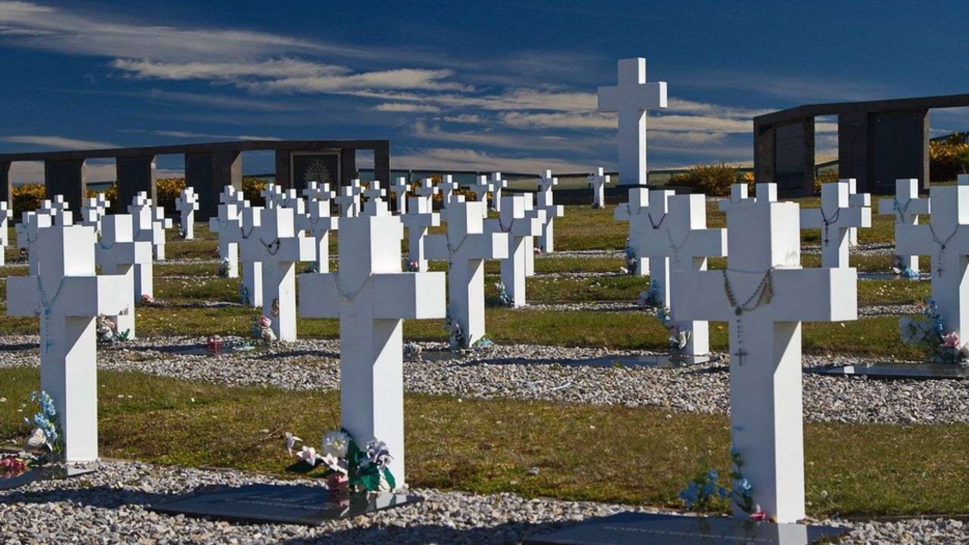 Immagine di Falkland/Malvinas. Le isole di una guerra inutile