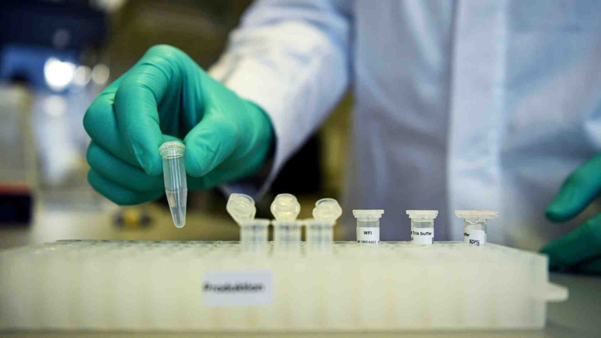 Immagine di Funzionano le “cellule killer” che bucano le difese del cancro