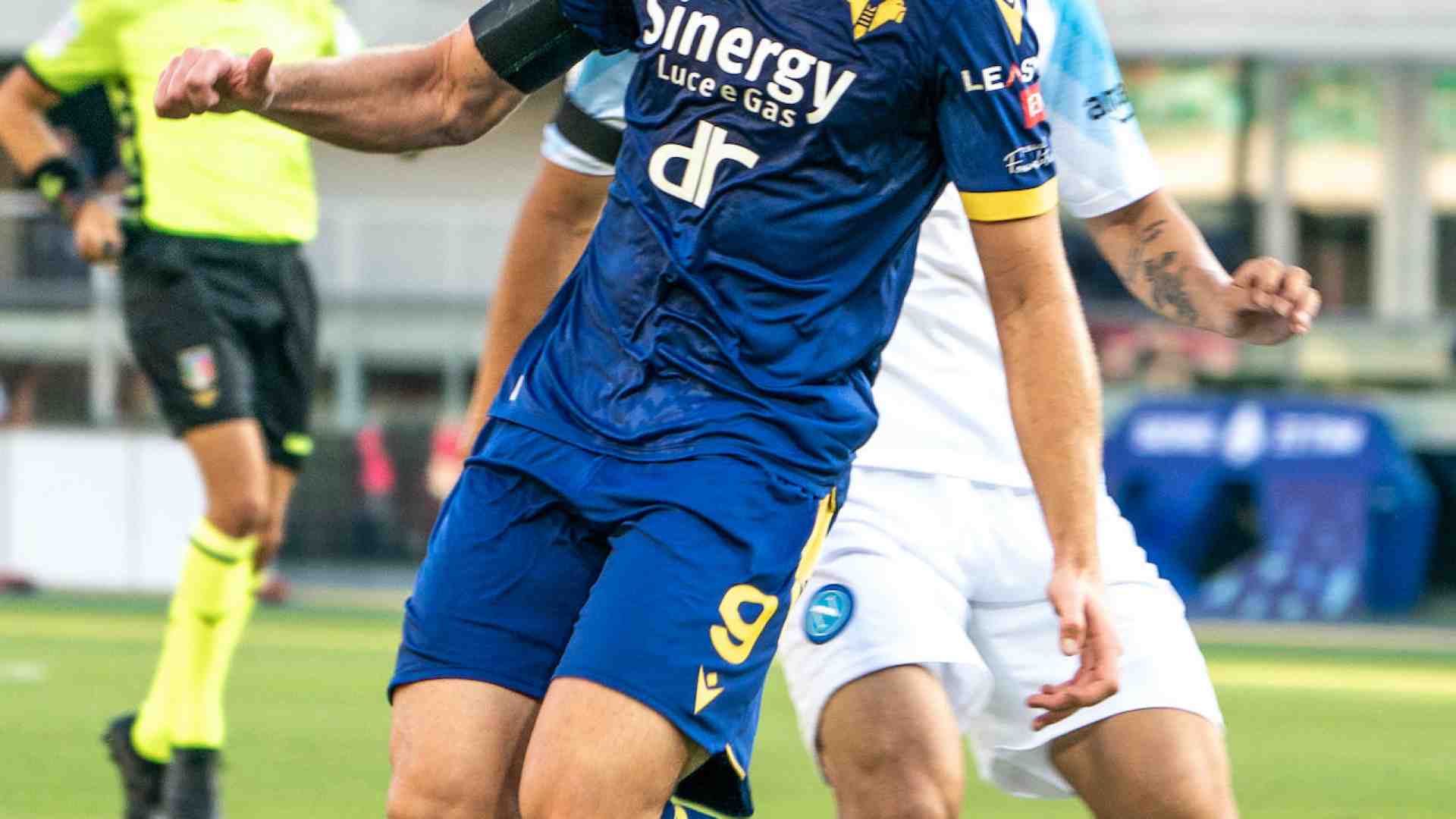 Immagine di Al Bologna e al Verona basta un tempo: 1-1