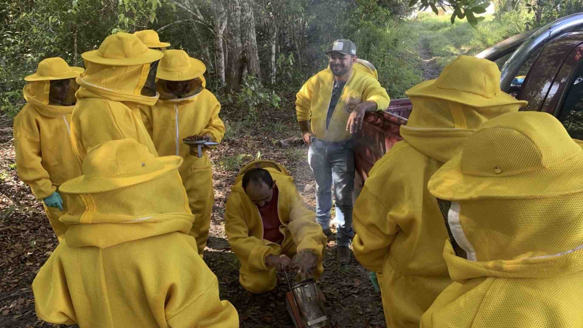 Immagine di L’apicoltura per custodire la biodiversità