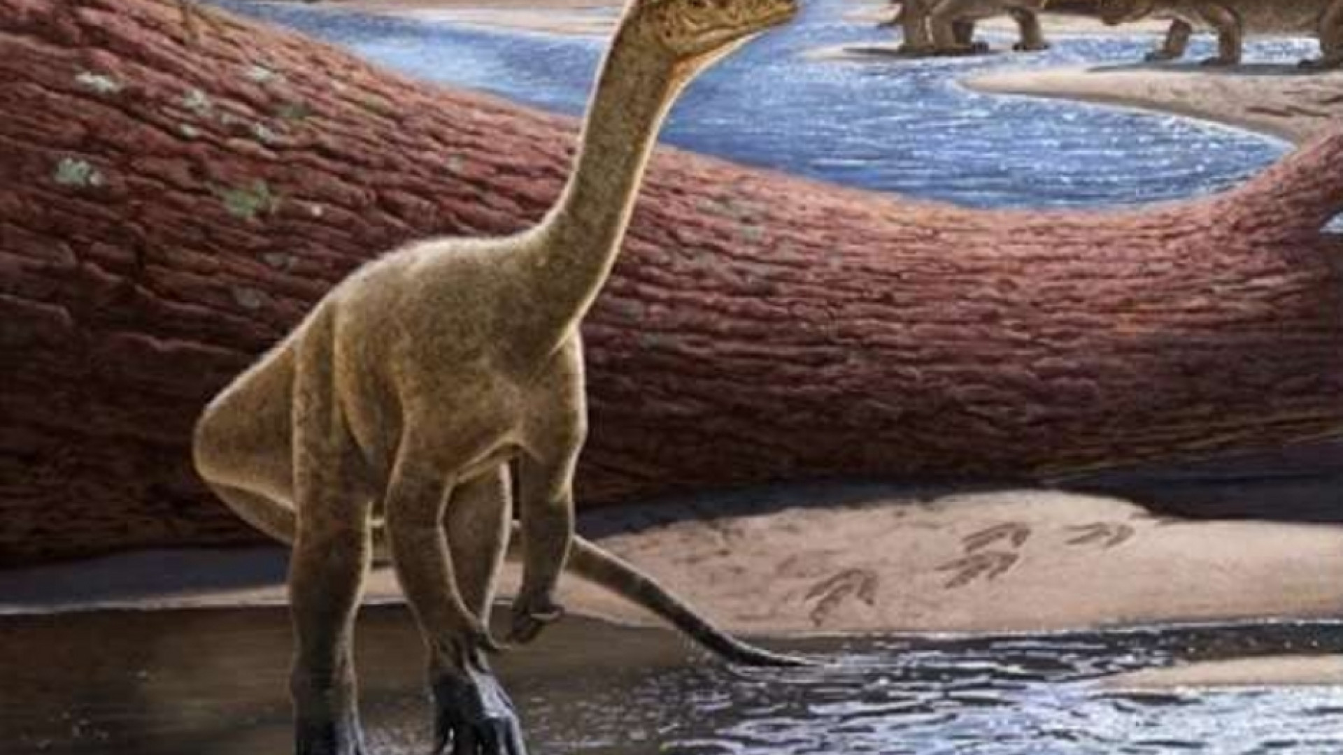 Immagine di Scoperto il più antico dinosauro africano