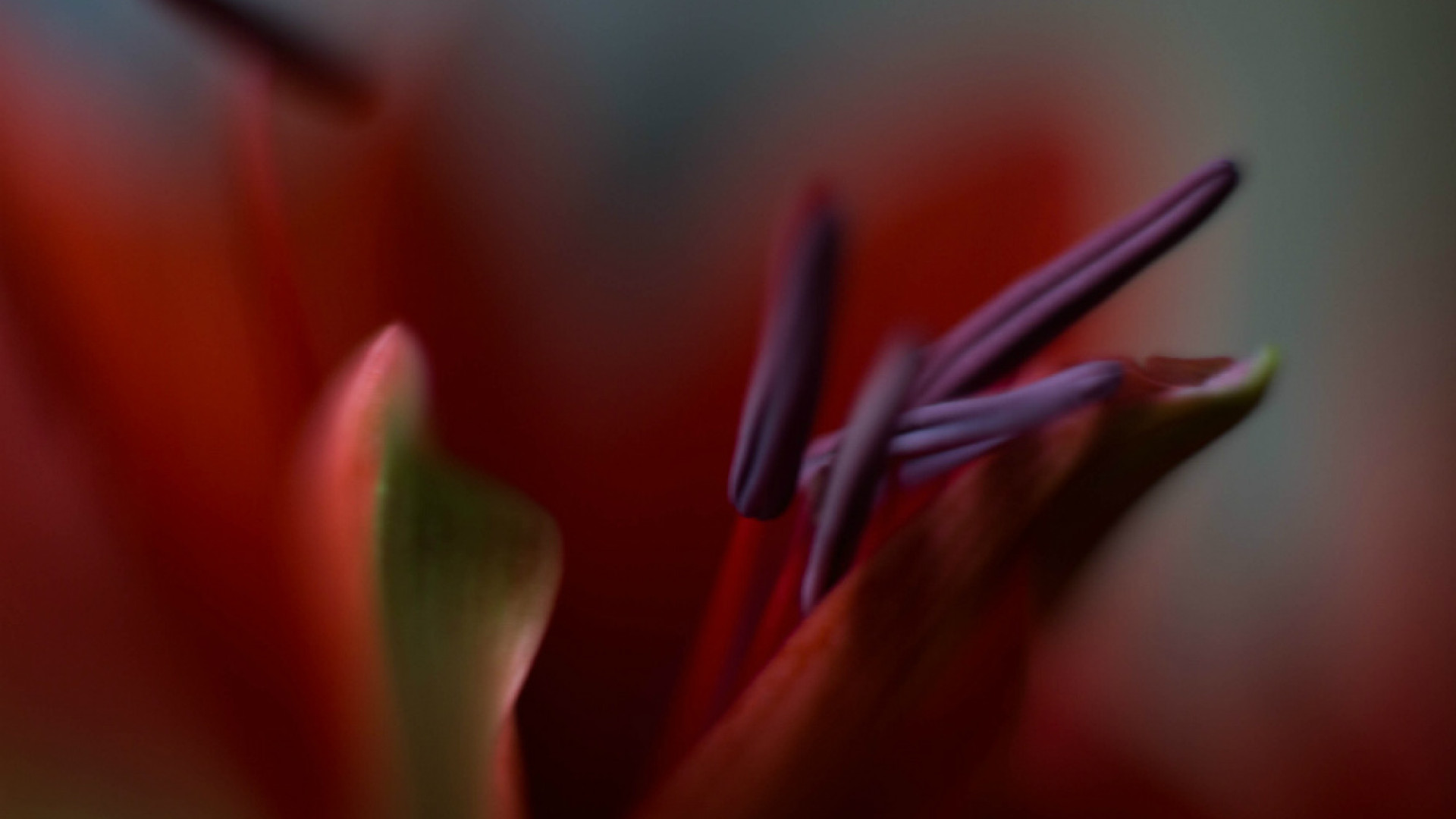 Immagine di Natura, arte e scienza