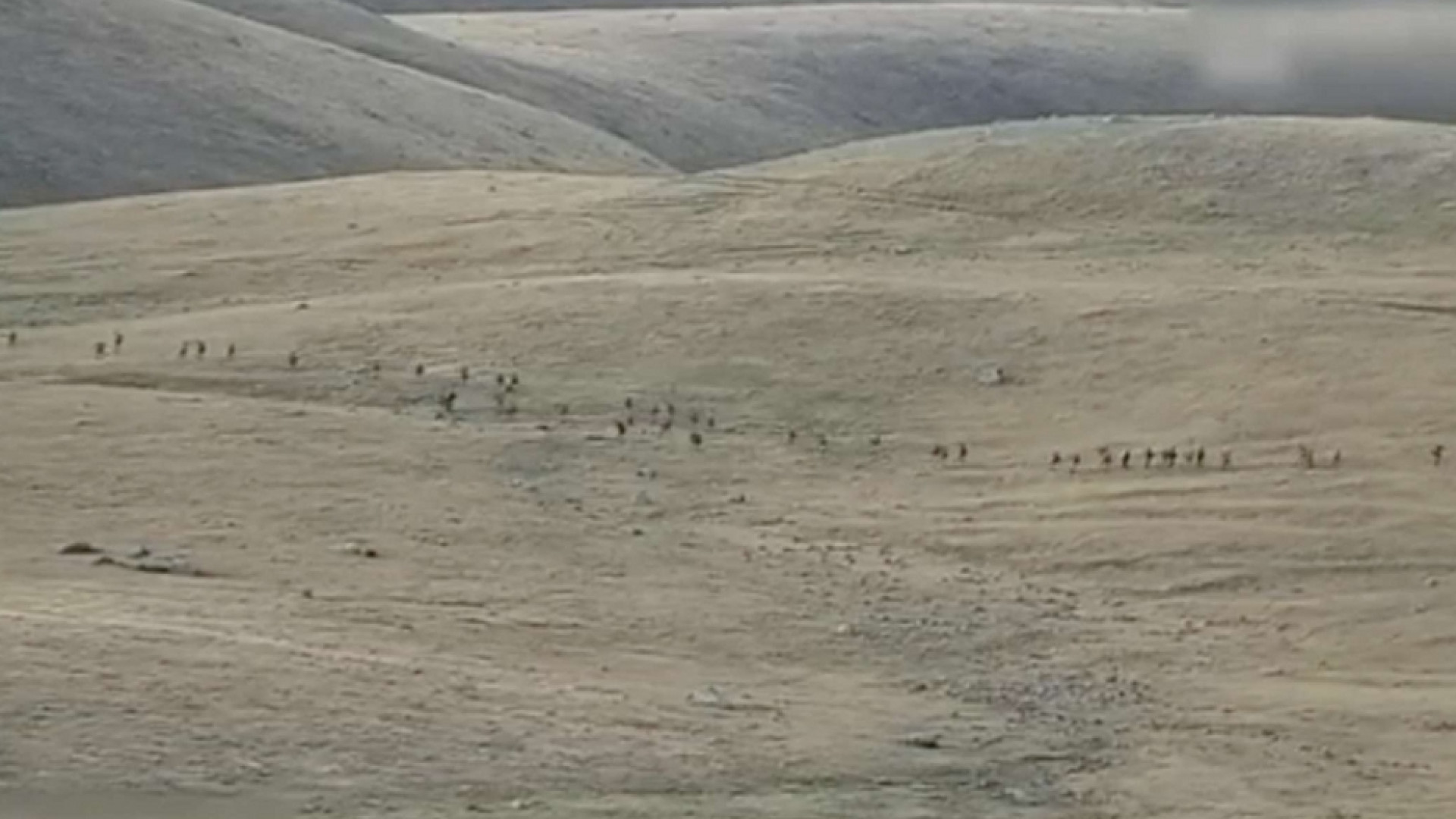 Immagine di Scontri tra Armenia e Azerbaigian, cento morti. L'escalation e gli interessi