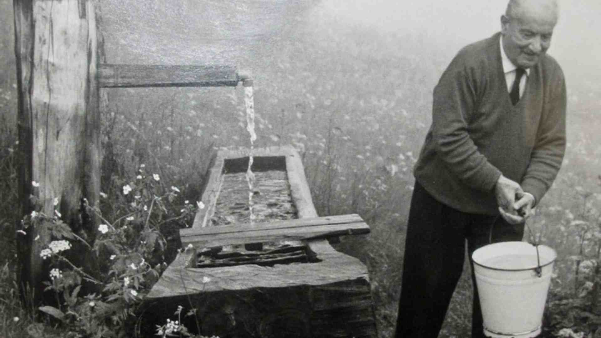 Immagine di Heidegger e le fonti del fare filosofia