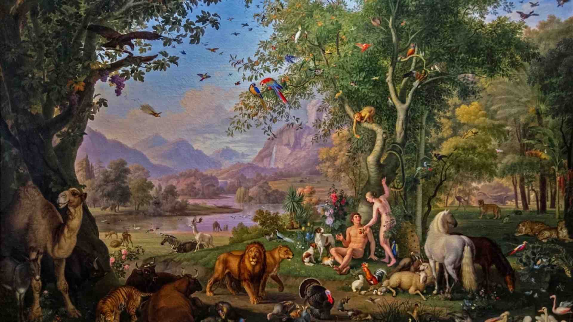 Immagine di L'uomo nel mondo: verso un'etica della responsabilità