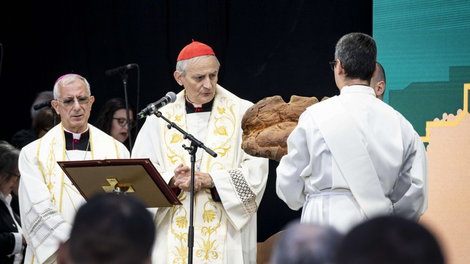 Immagine di Una Chiesa che ha cura di fragilità e sofferenza