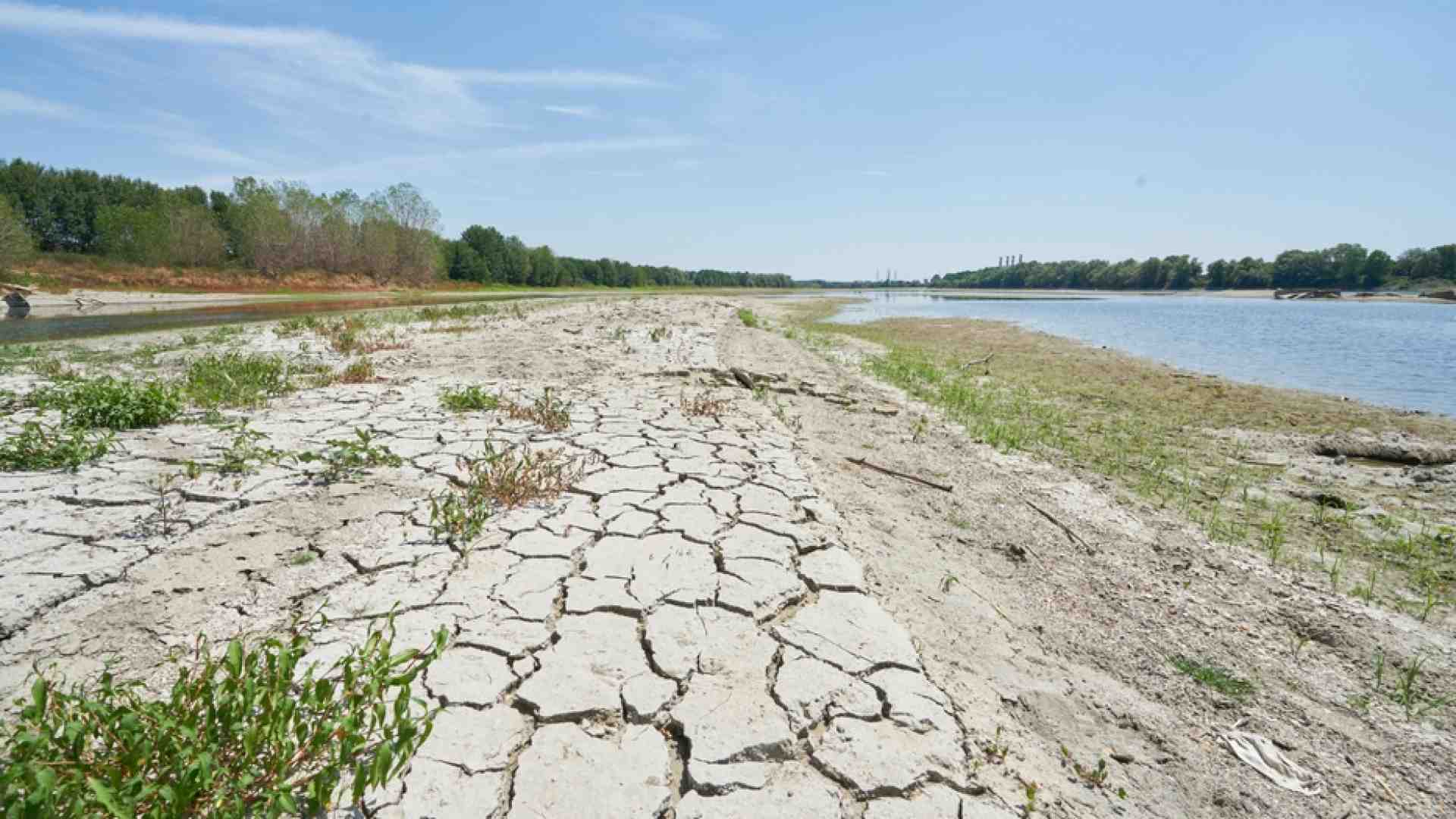 Immagine di La sfida dell'antropocene: estendere la reciprocità alla terra profanata