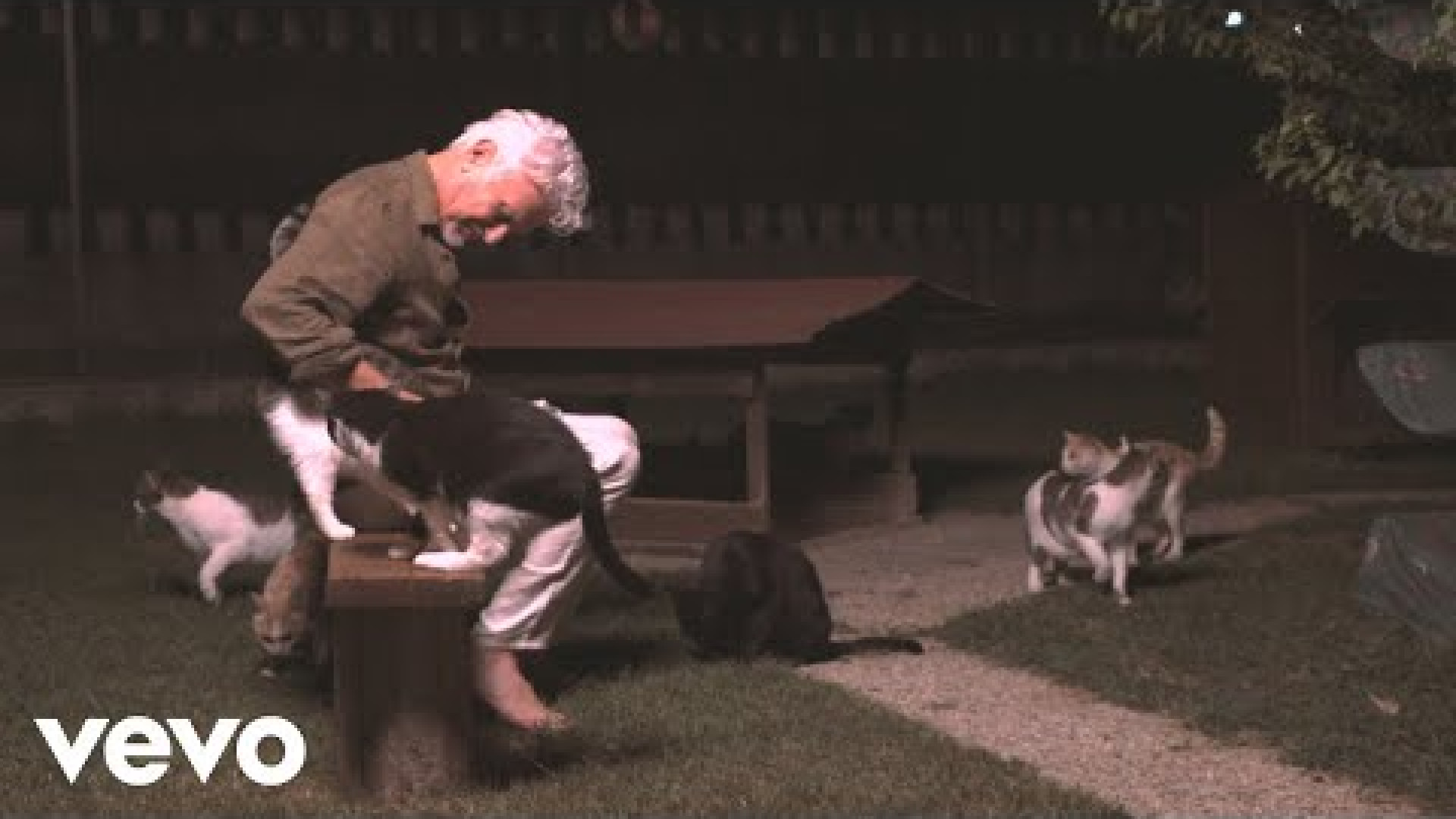 Immagine di Ron, grazie alla musica mi salvo e mi riconosco figlio / Video