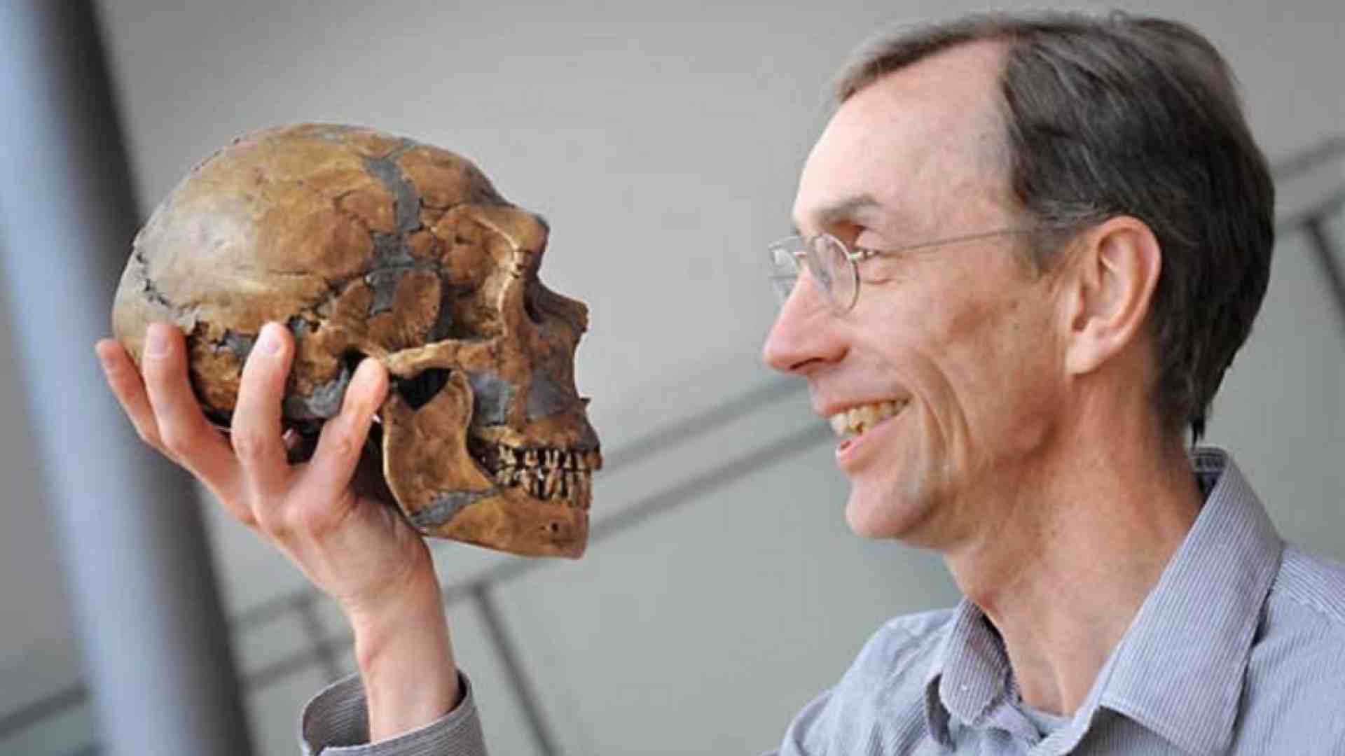 Immagine di Nobel a Svante Pääbo per le scoperte sul genoma dei Neanderthal