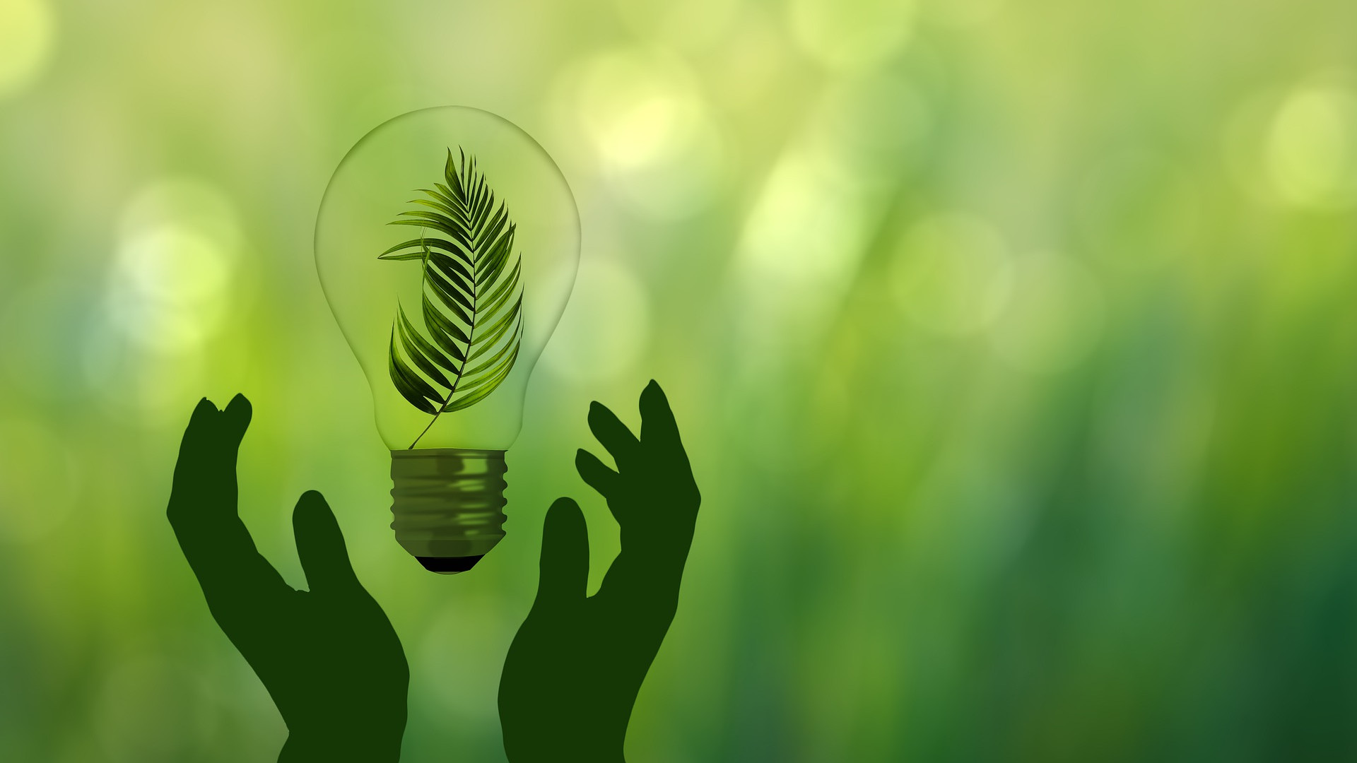 Immagine di Le aziende cercano manager specializzati nella transizione ecologica