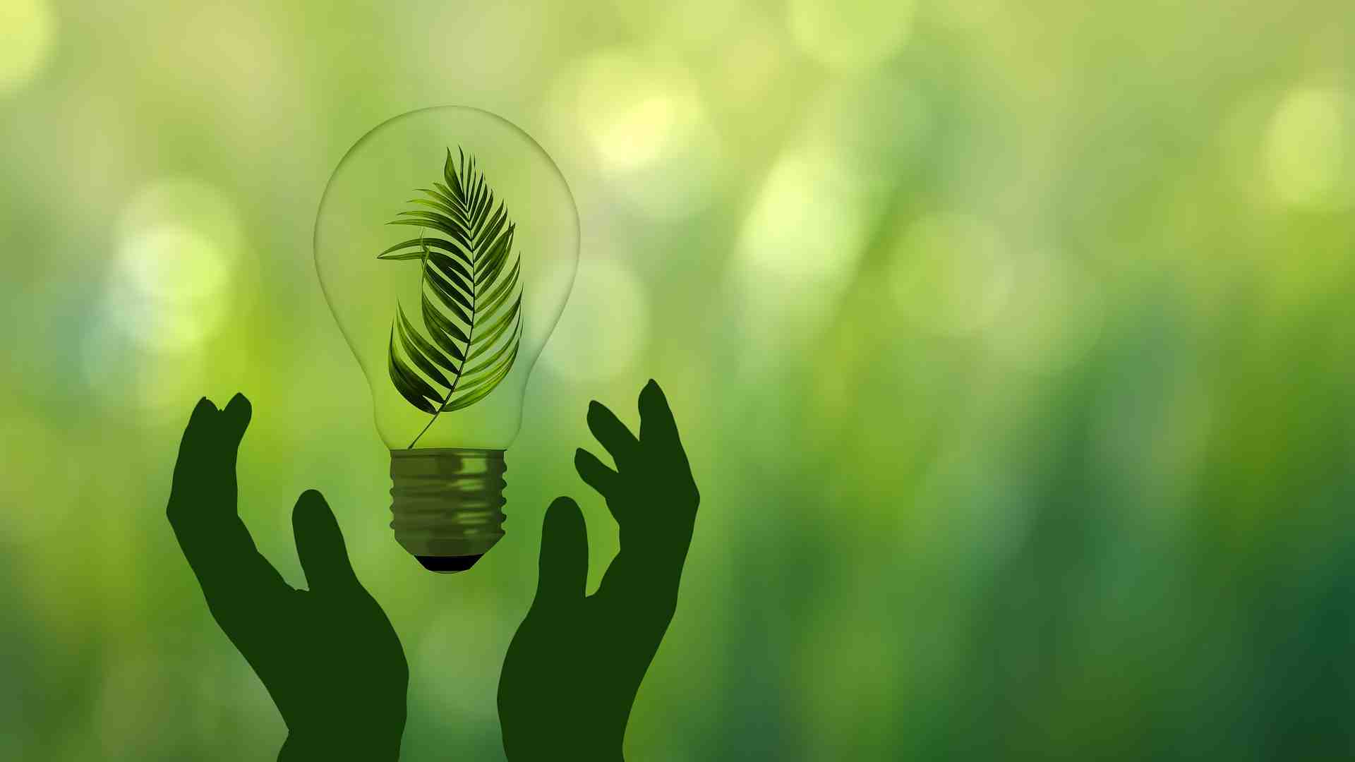 Immagine di Le aziende cercano manager specializzati nella transizione ecologica