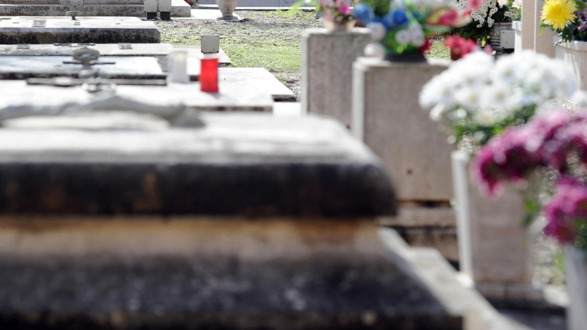 Immagine di Ama Roma si scusa per i disservizi al Cimitero. I nodi restano