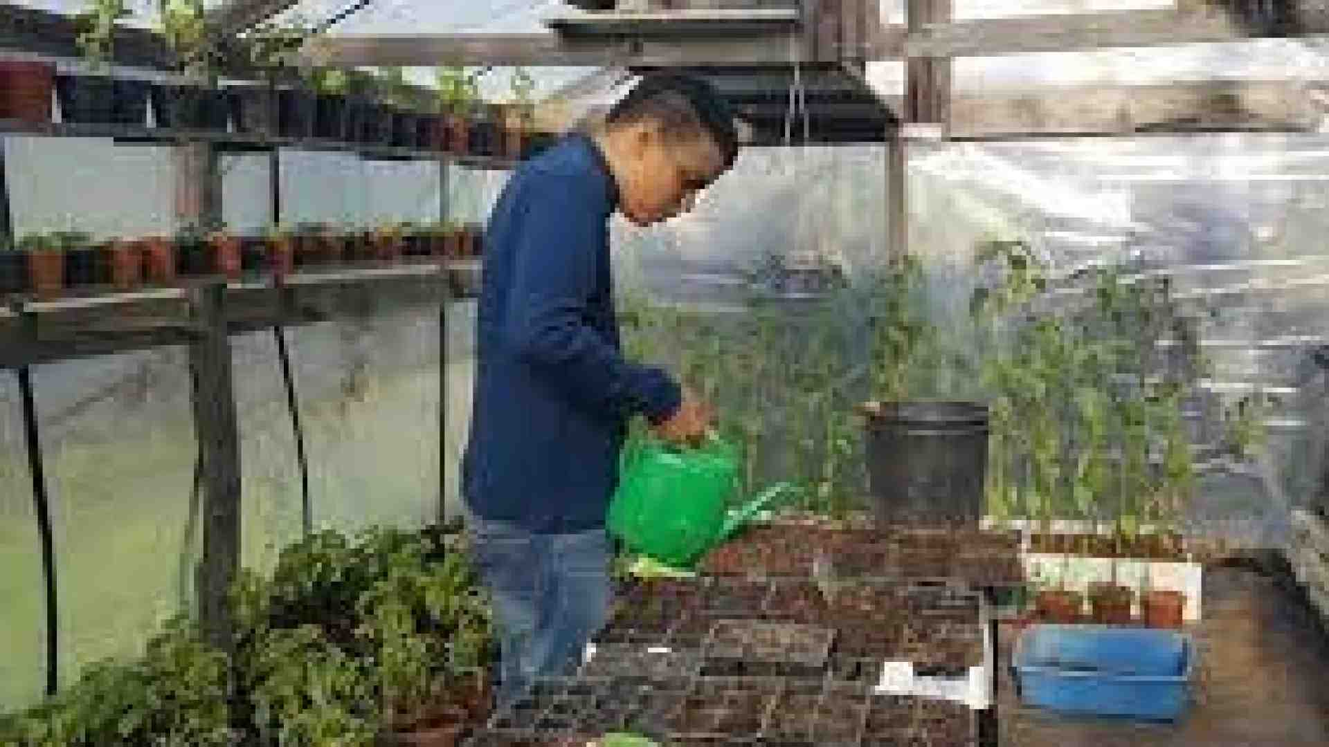 Immagine di Incentivi a chi assume lavoratori con disturbi autistici