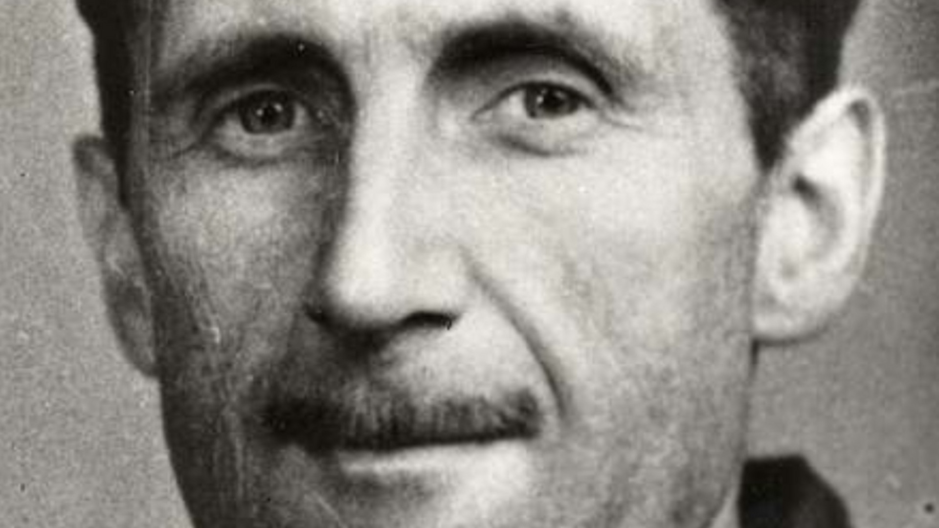 Immagine di La passione di George Orwell per la politica