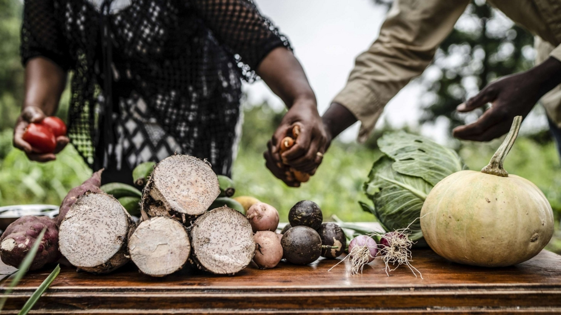 Immagine di I "senza cibo" sono 50 milioni in più nel 2021