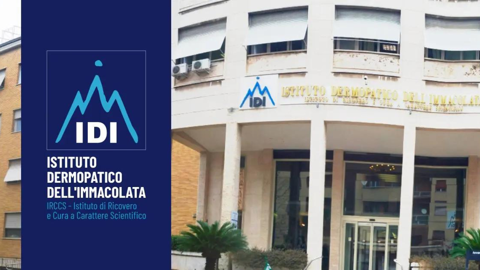 Immagine di Idi, nuove tecniche chirurgiche nell’interventistica vascolare