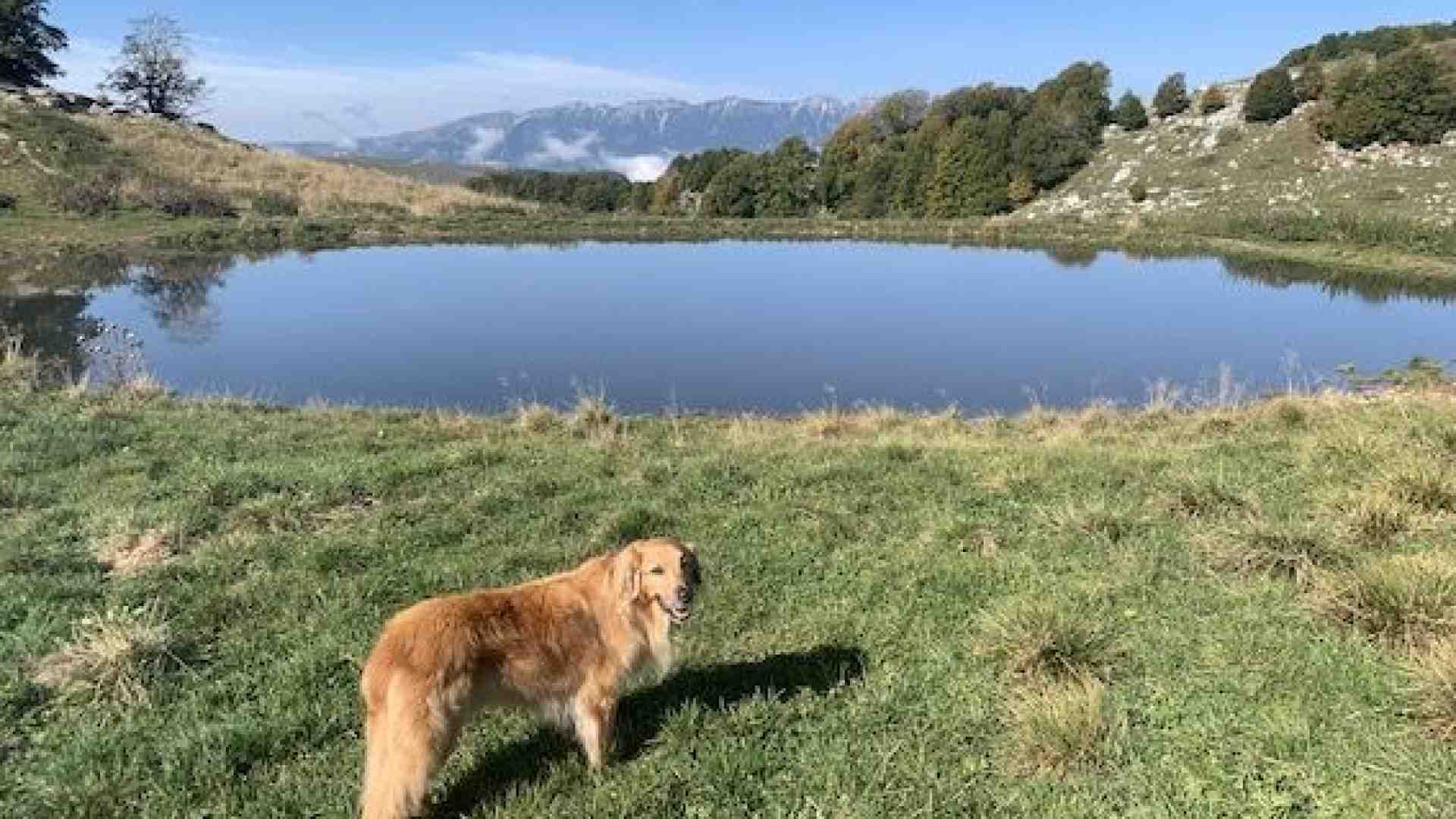 Immagine di Sul limite più alto dell’altopiano il paesaggio è pieno di testimonianze della Grande guerra