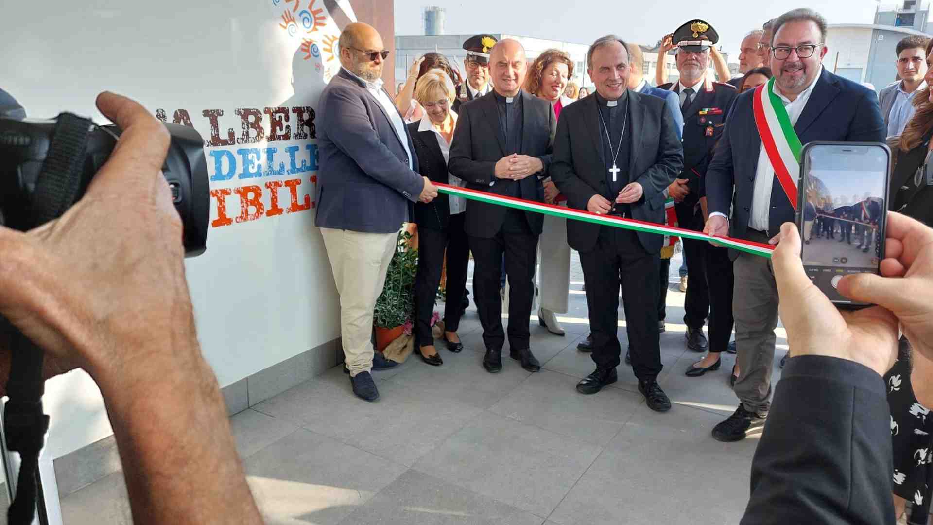 Immagine di Tante possibilità maturano sull'Albero della solidarietà
