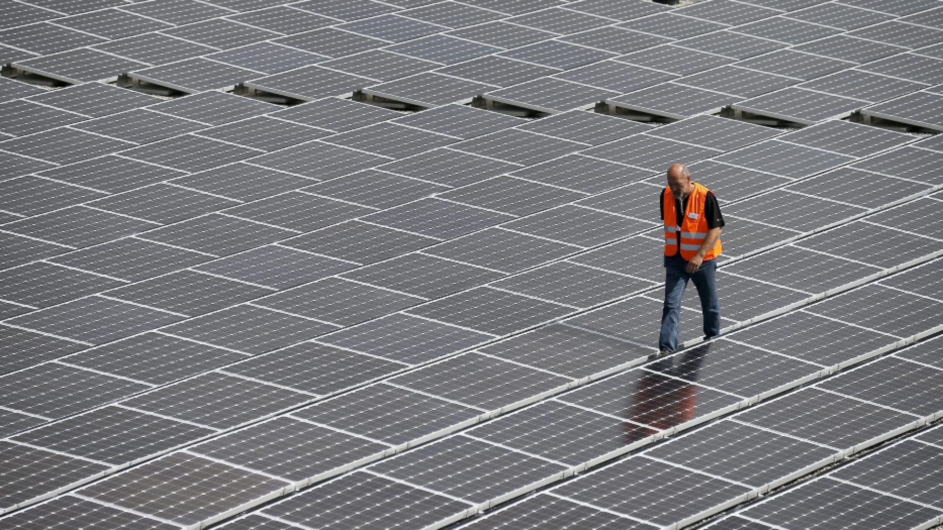 Immagine di Così la pubblica amministrazione può essere tutta a emissioni zero