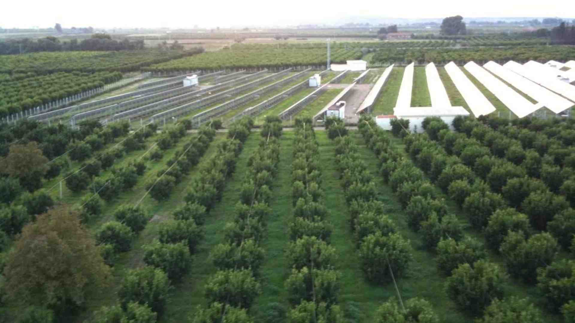 Immagine di La semina (e le incognite) del fotovoltaico nei campi italiani