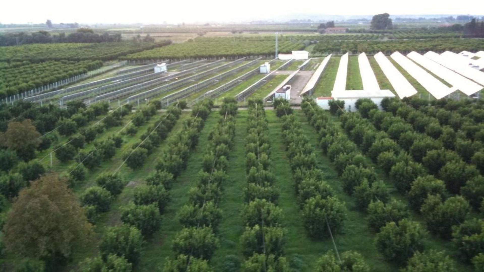 Immagine di La semina (e le incognite) del fotovoltaico nei campi italiani