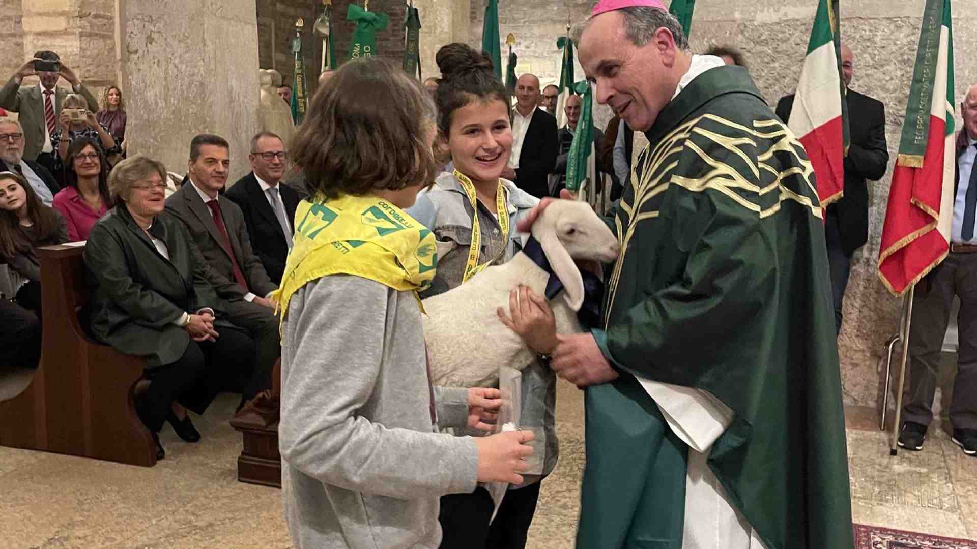 Immagine di San Martino, il Vescovo benedice gli agricoltori: «La terra va rispettata e salvaguardata, non depredata»