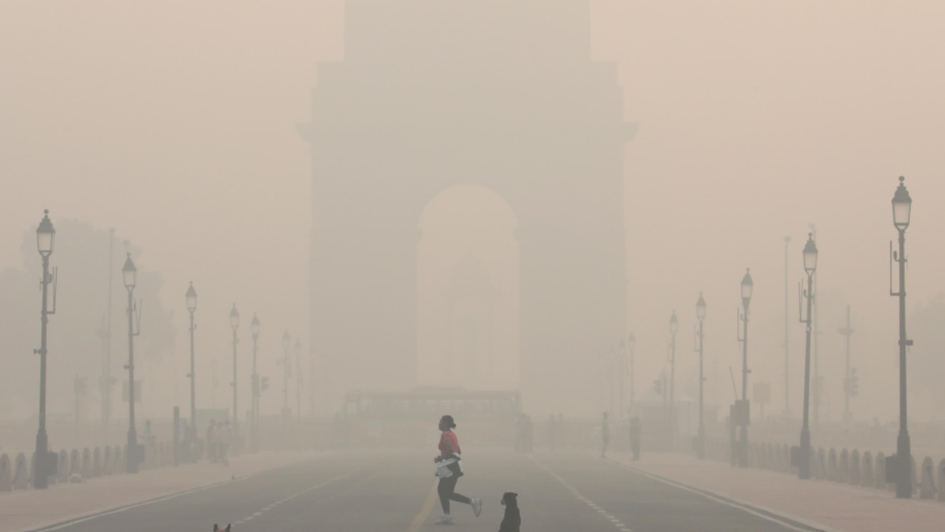 Immagine di A New Delhi inquinamento record, l'allarme delle autorità