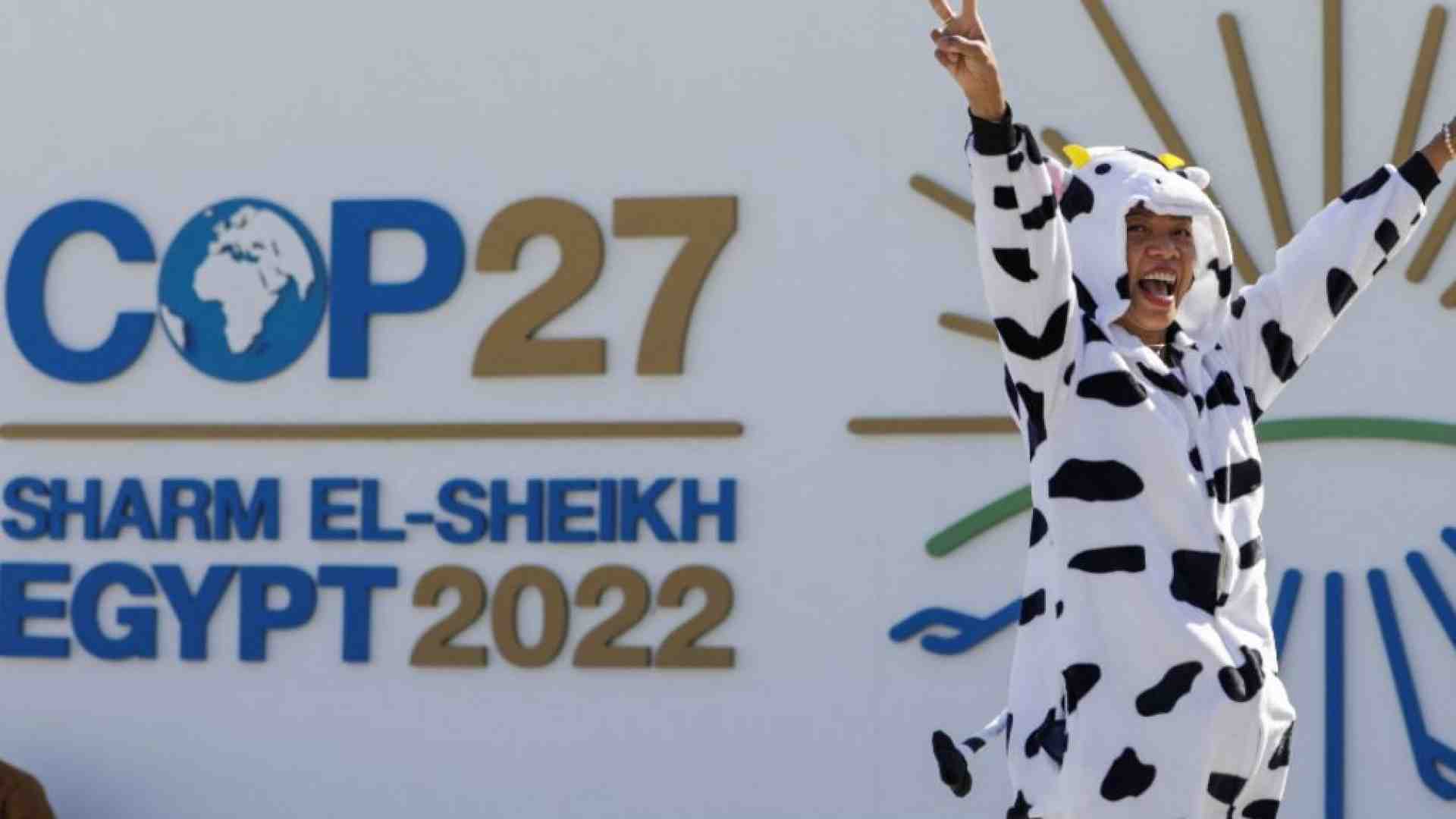 Immagine di Al via il vertice Cop27 sul cambiamento climatico: cosa c'è da sapere
