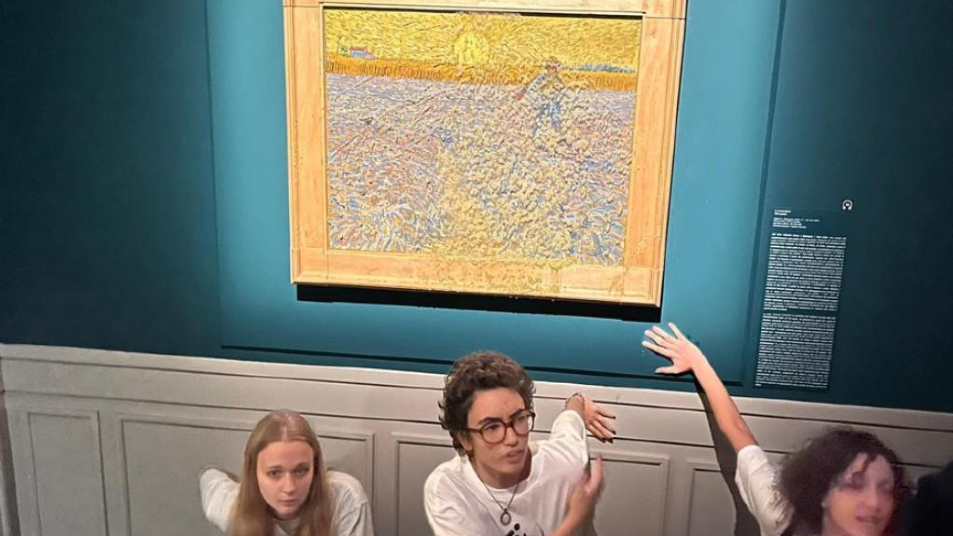 Immagine di La zuppa sul vetro di un dipinto è più grave che alterare il clima?