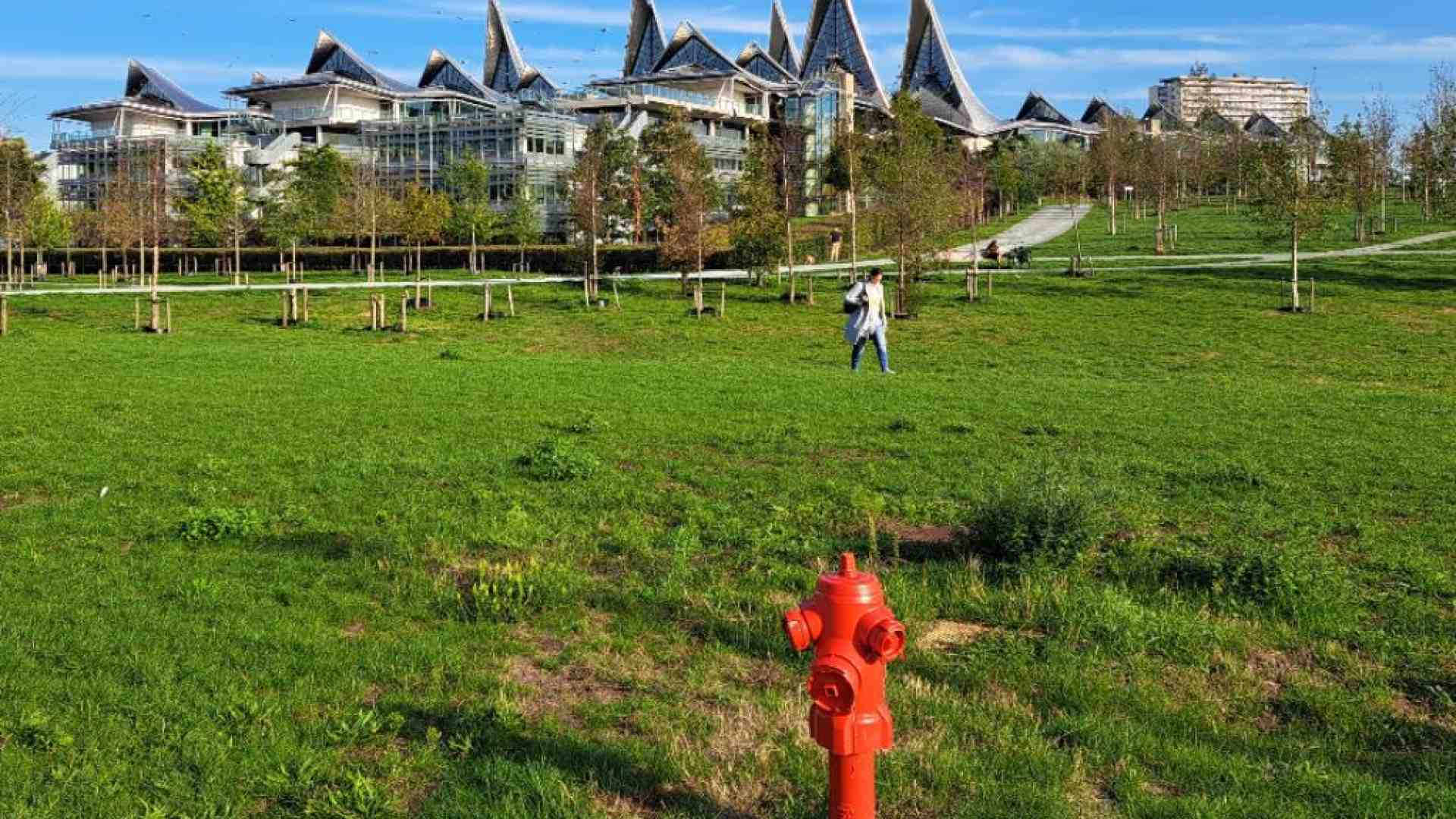 Immagine di La nuova Anversa sul fiume sceglie l'estetica sostenibile