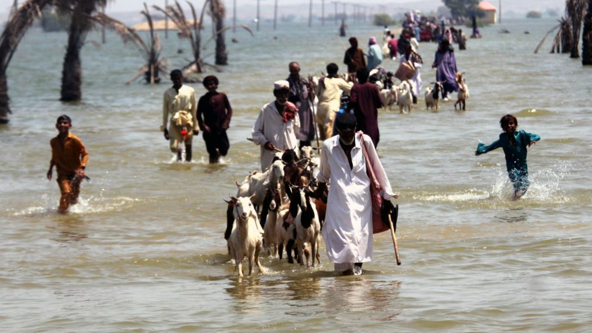 Immagine di Alla Cop27 non c'è il clima per risarcire i poveri devastati dai disastri