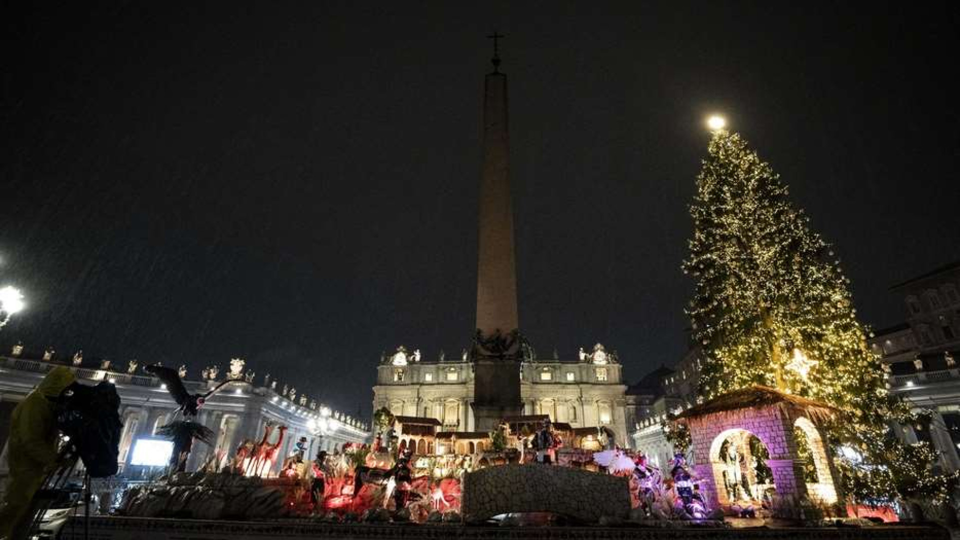 Immagine di Verrà da un vivaio non da un bosco naturale l'albero di Natale in Vaticano