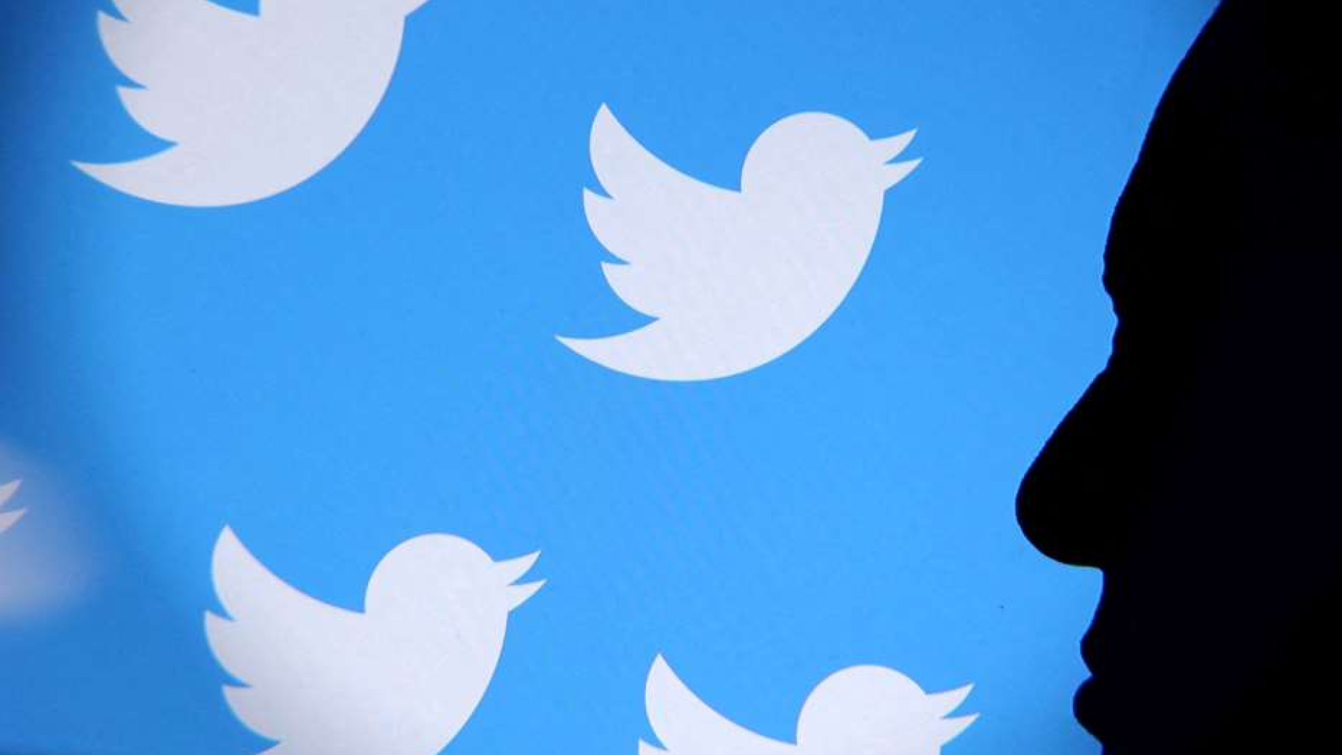 Immagine di Il pulcino indiano Koo insegue Twitter con 50 milioni di utenti