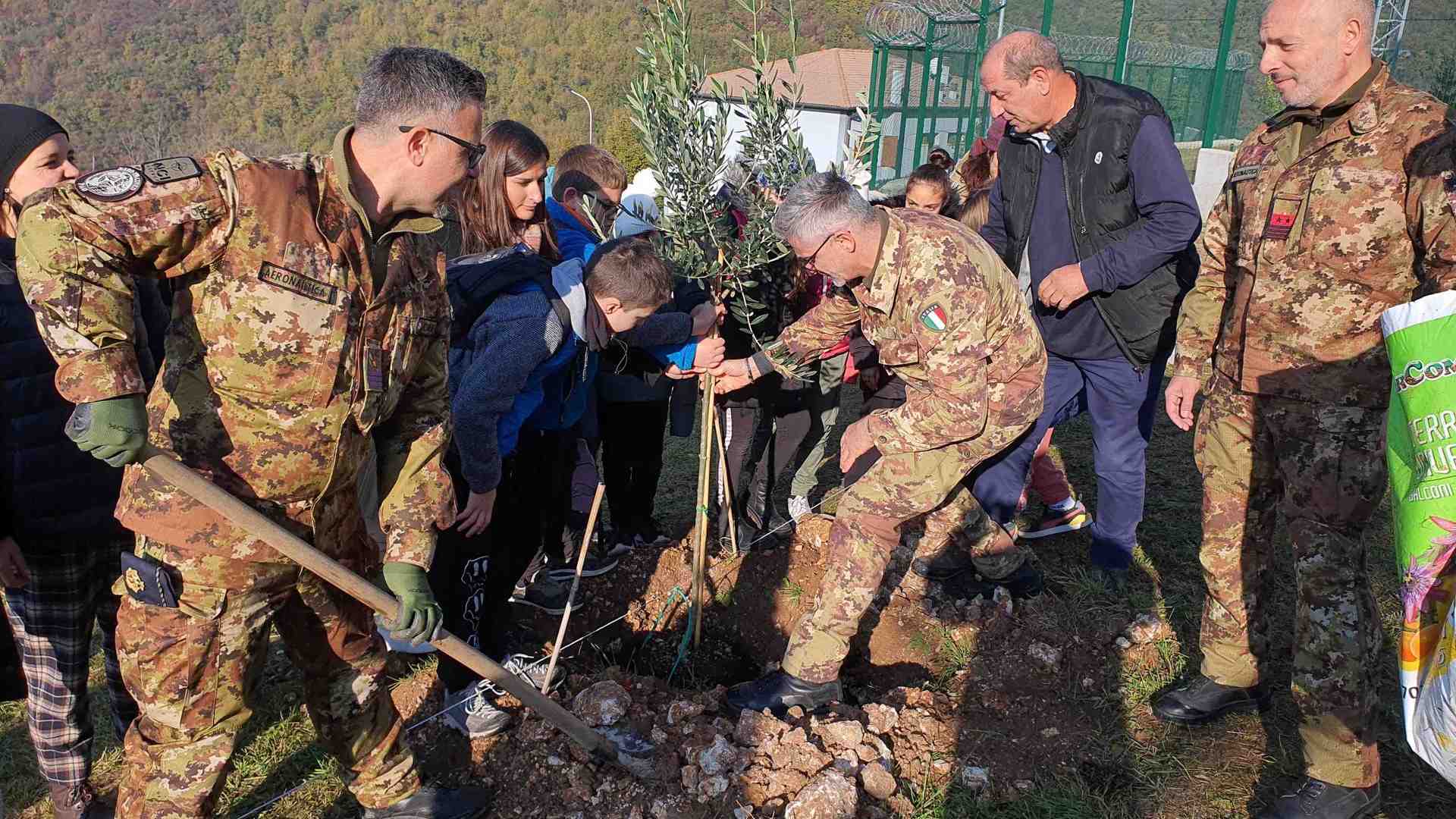 Immagine di Crescono nuovi alberi nella base Nato di Lughezzano