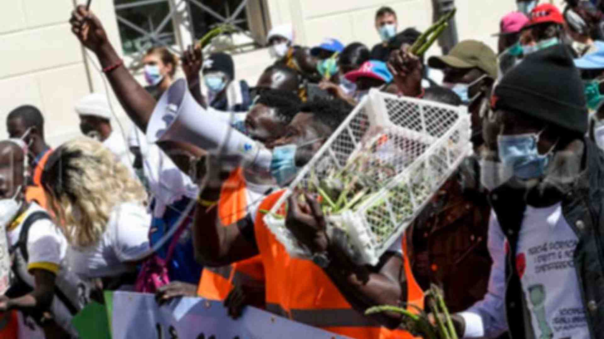 Immagine di Caporalato: salite a 230mila le vittime dello sfruttamento