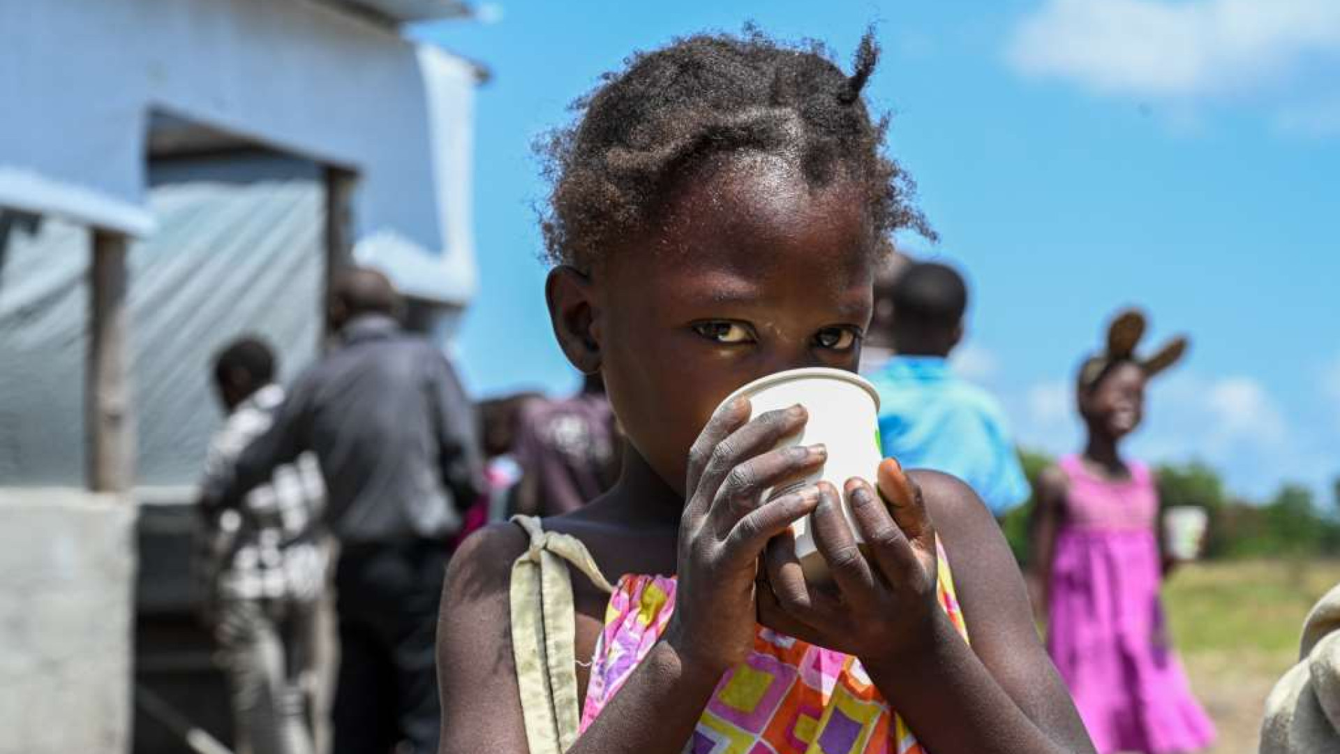 Immagine di Mozambico, il latte nutre la speranza: «Così rinasce Beira»