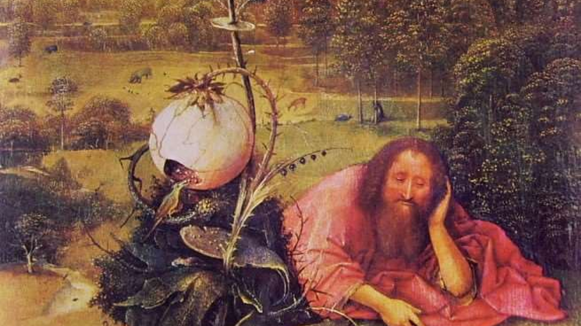 Immagine di L’annuncio del Battista: il regno dei cieli è vicino
