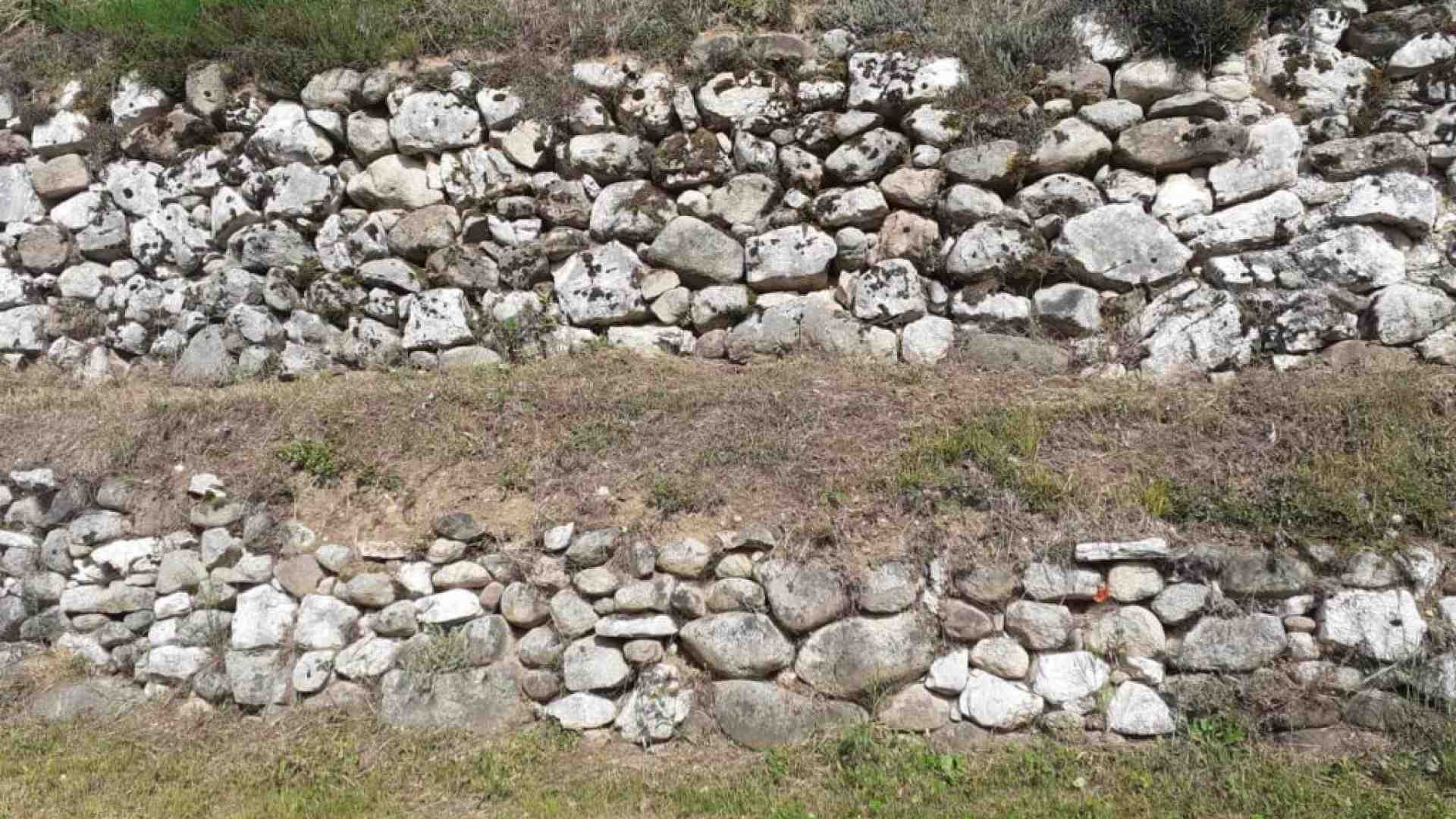 Immagine di Quel certo ambientalismo che non manda profumo e puzza invece di ideologia ed egoismo
