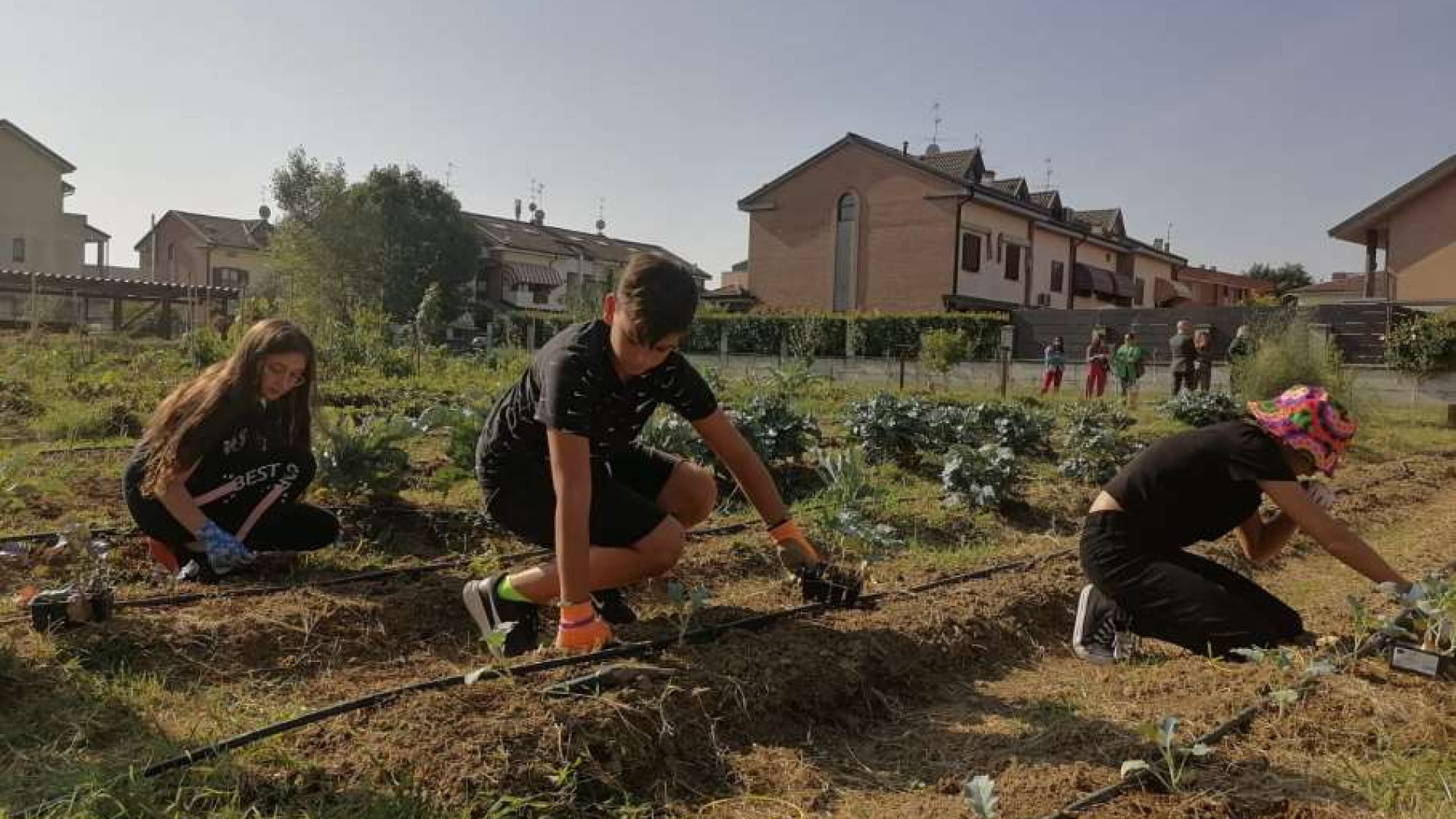 Immagine di "Costruiamo insieme metriche efficaci per valutare l'impatto sociale"