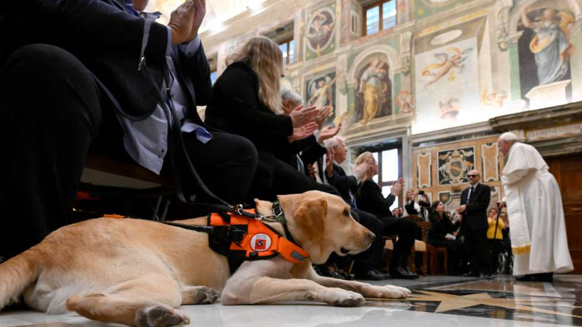 Immagine di Il Papa: no al pietismo verso i disabili