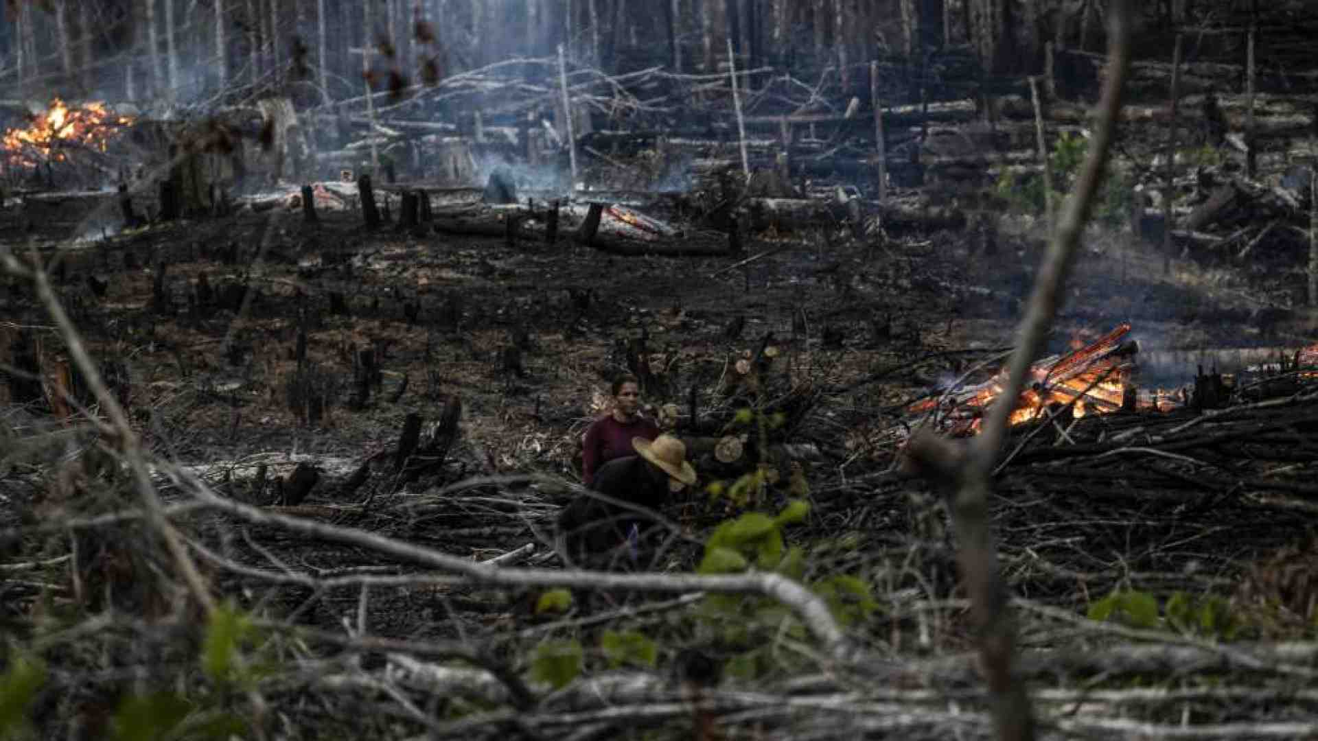 Immagine di Un terzo della terra trasformato in riserva. Ma l'idea divide il mondo
