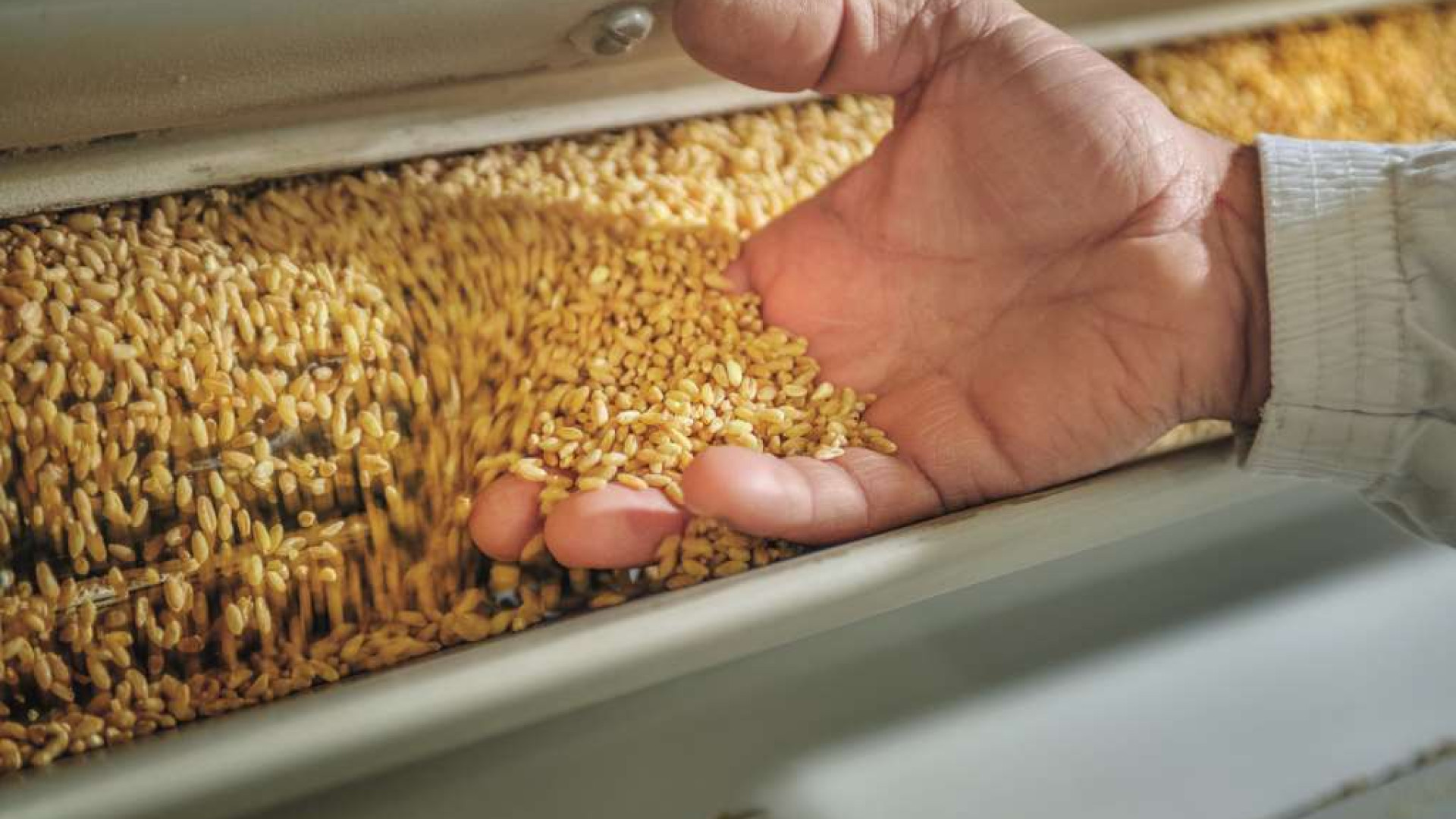 Immagine di La Molisana ha la ricetta per fare bene al territorio