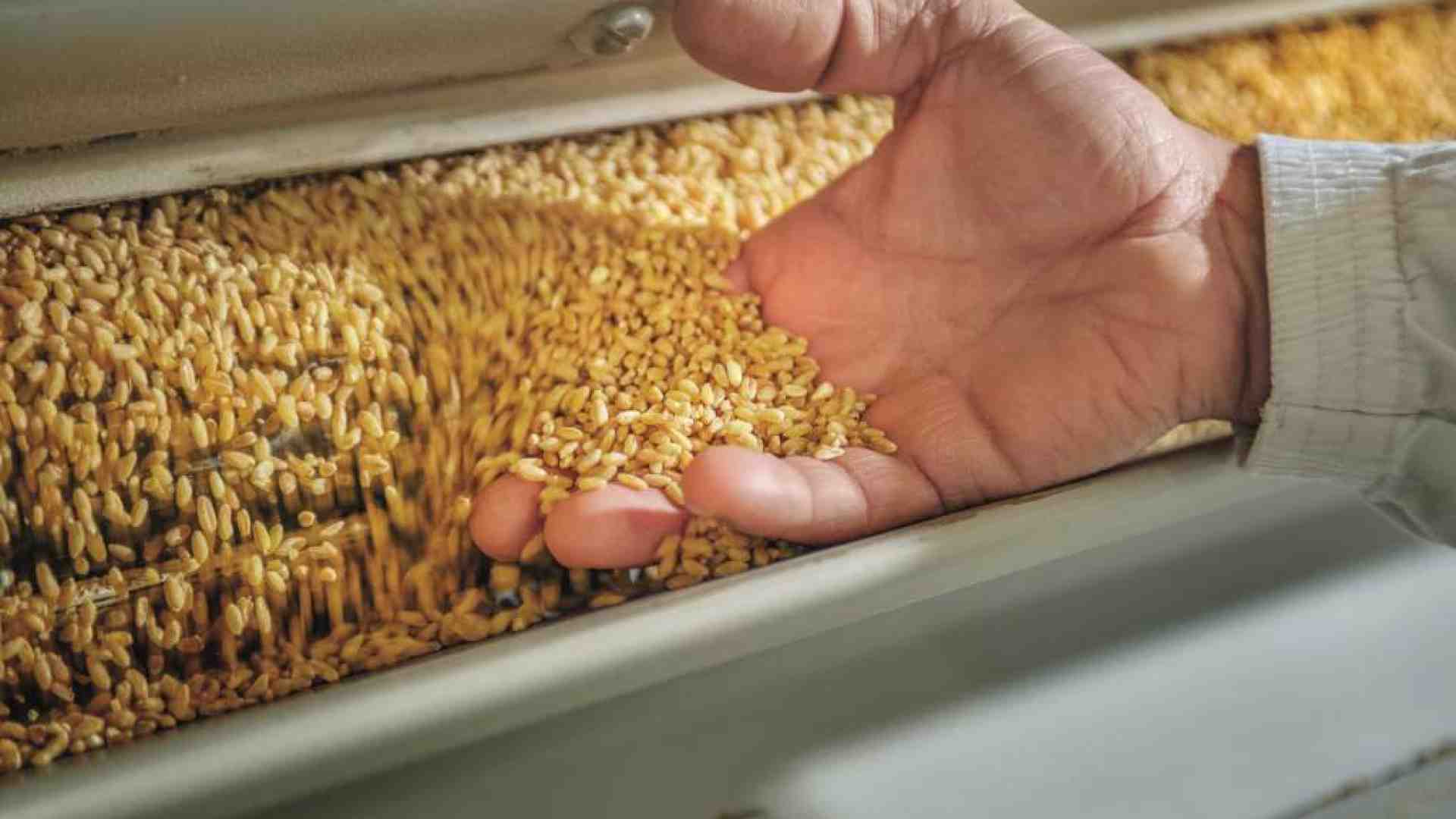 Immagine di La Molisana ha la ricetta per fare bene al territorio